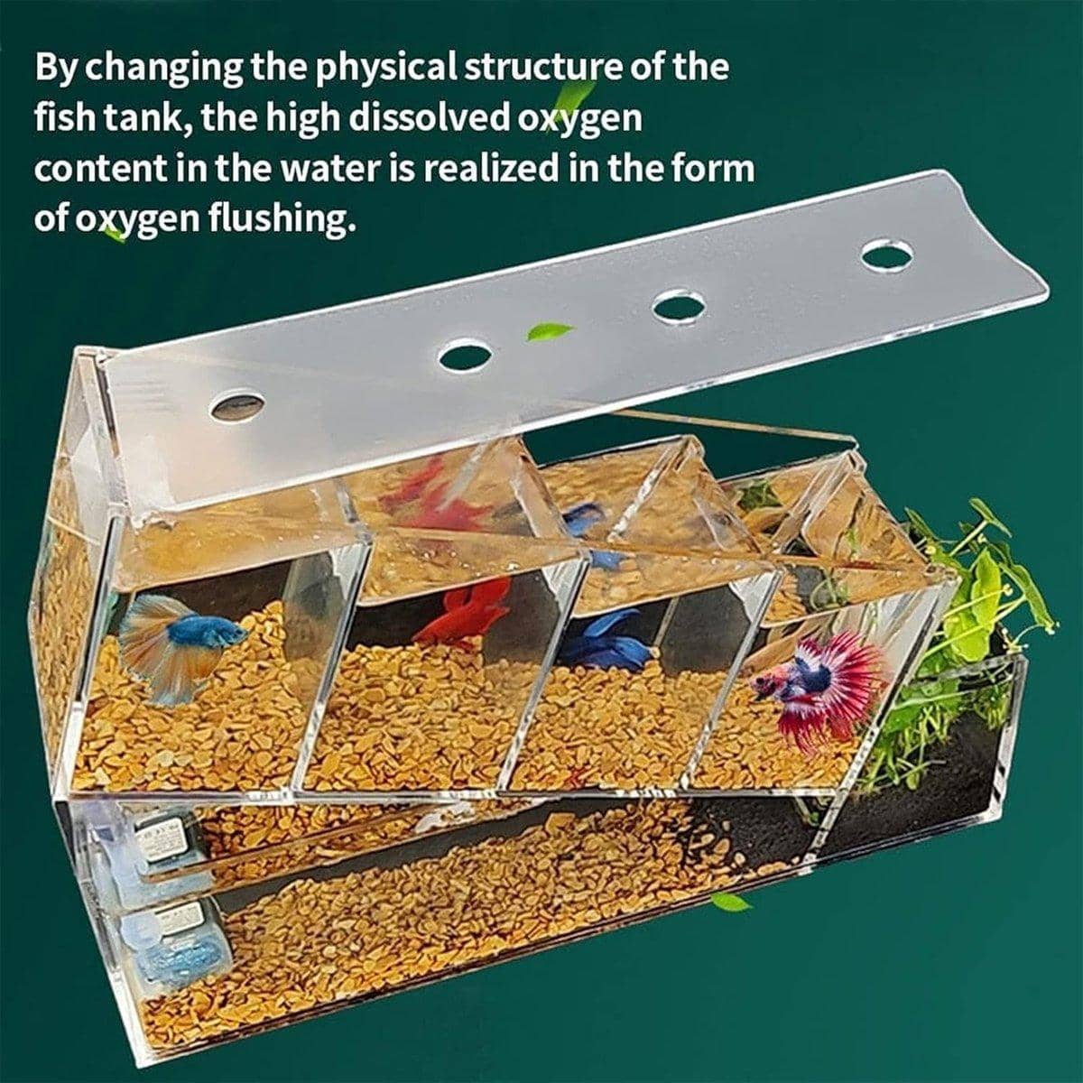 Acrylic Desktop Aquarium with Compartments and 2.5W Pump - view 4