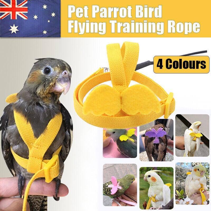 Adjustable Bird Harness and Leash Flying Training Rope for Parrots - Pink - view 2