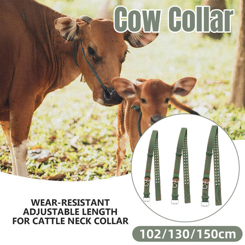 Adjustable Cattle Neck Strap Restraint Collar Belt Tool - L, 150 cm Length - view 2