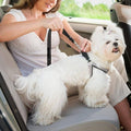 Adjustable Elastic Dog Car Seat Belt Tether with Clip - Black - view 5