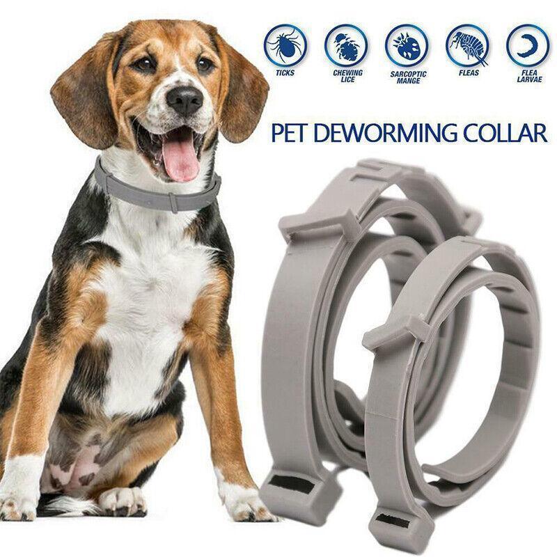 Adjustable Flea and Tick Collar for Dogs and Cats - Grey - view 5