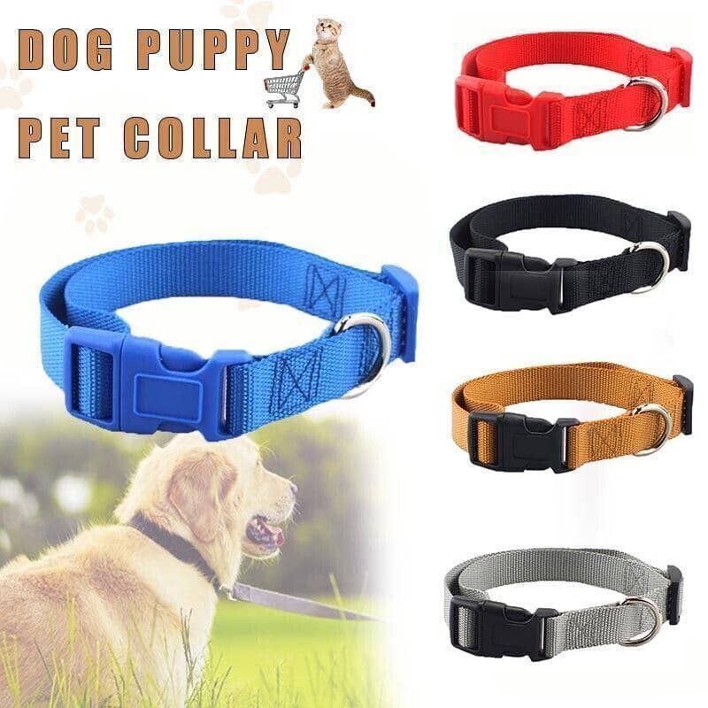 Adjustable Nylon Dog Collar, Large 40-50 cm - Blue - view 2