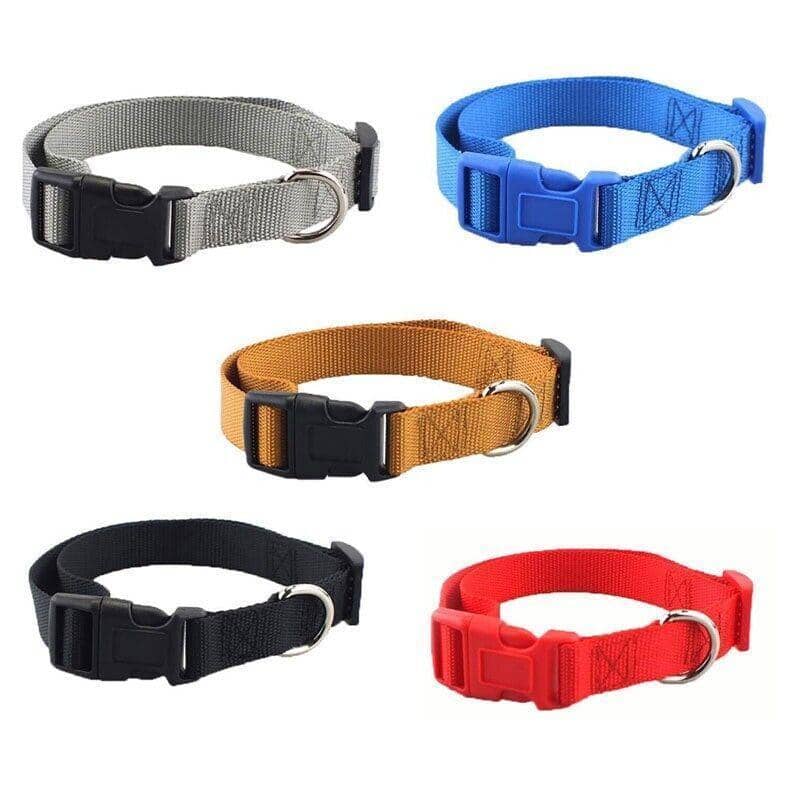 Adjustable Nylon Dog Collar, Large 40-50 cm - Blue - view 3