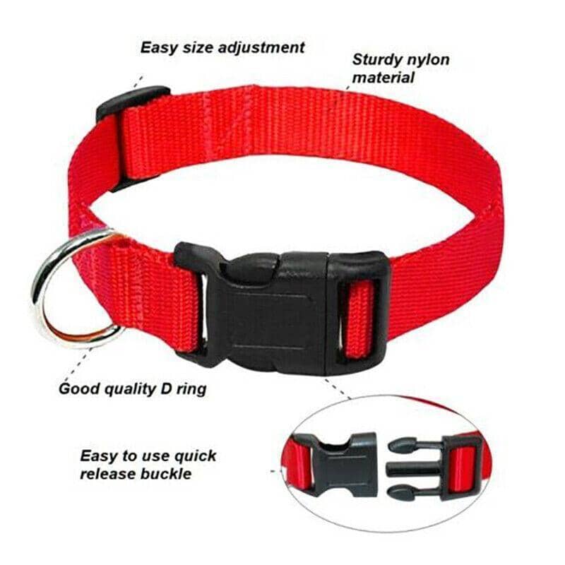 Adjustable Nylon Dog Collar, Large 40-50 cm - Blue - view 4