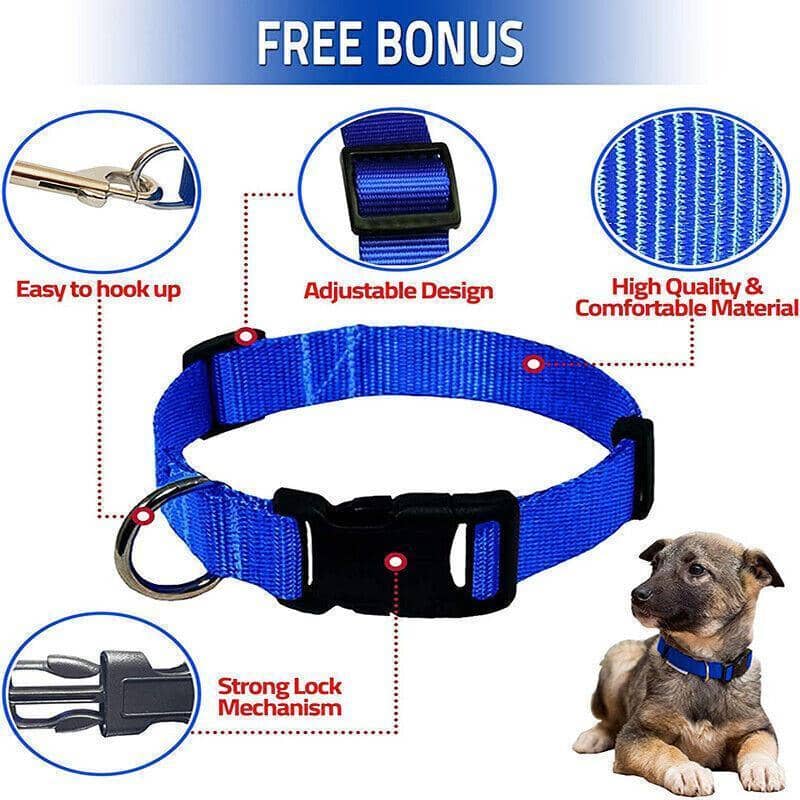 Adjustable Nylon Dog and Puppy Collar - Blue, Small (30-45 cm) - view 5