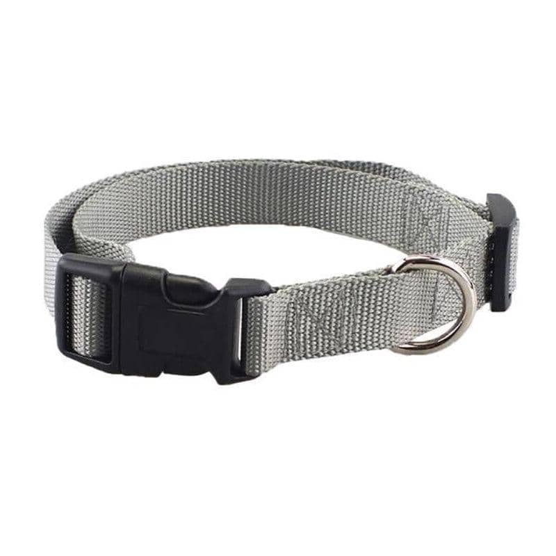Adjustable Nylon Dog and Puppy Collar - Grey, Small (30-45 cm)