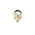 Adjustable Pet Bandana Collar for Cats and Small Dogs, Small (Neck 18 to 33 cm) - Pineapple Print