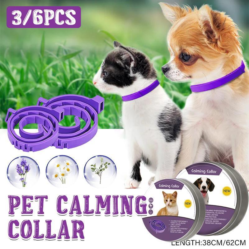Adjustable Pet Collar for Cats and Dogs - Large 62cm, Pack of 6 - view 2