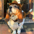 Adjustable Pet Cowboy Hat for Dogs and Cats - Brown, Medium (15.5 x 12.8 cm) - view 5