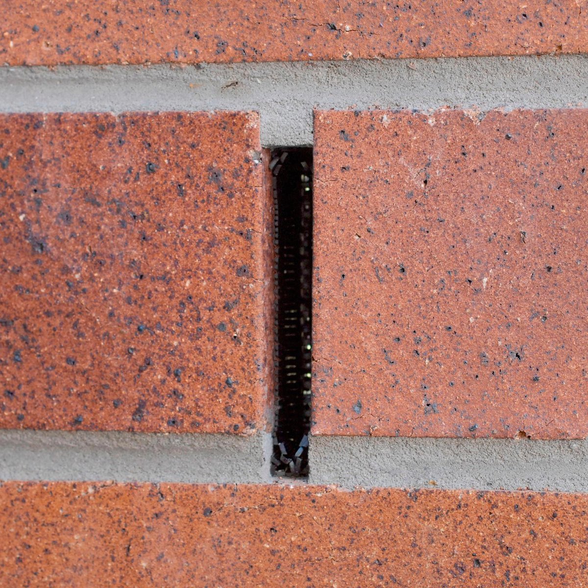 Weepa Termite Protector Weep Hole Screen 20 Pack - 30mm x 93mm - Black - Deters Termites - SuperSaverAU - view 5