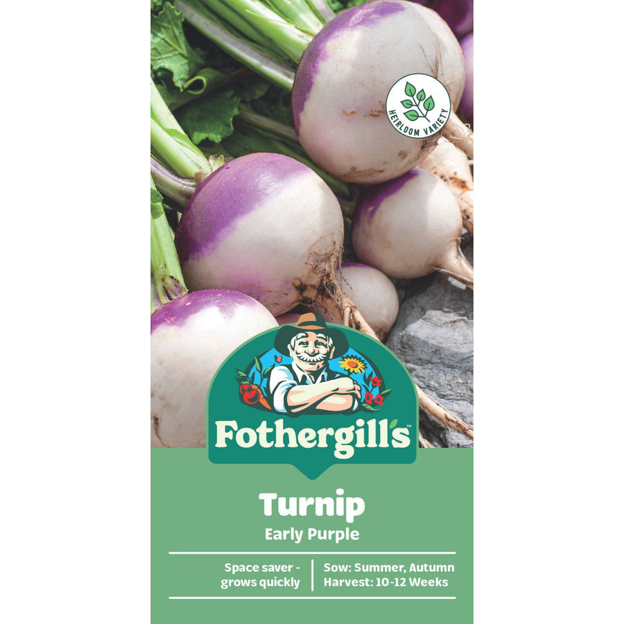 Mr Fothergill's Early Purple Turnip Seeds - Quick-Growing Purple & White Roots