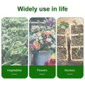 Agricultural Insect Net for Vegetables and Fruit Trees - 3 x 6 m Plant Protection Mesh - view 5