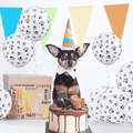 Animal Print Balloons Latex Pack of 12, 12 Inch (30.48cm) - Paw - view 5