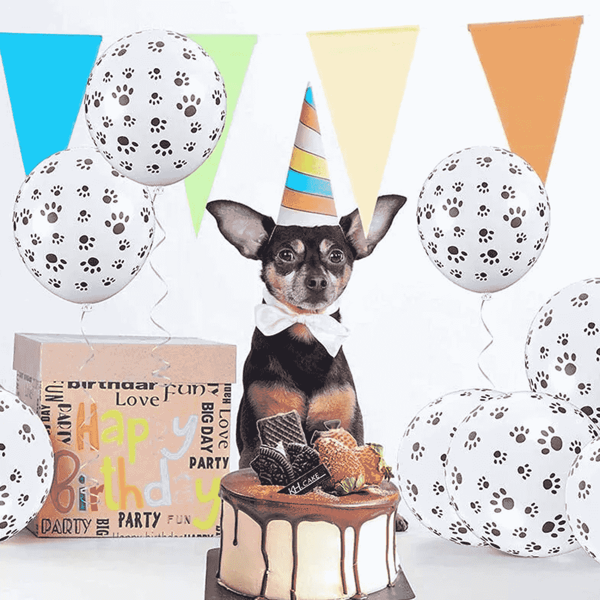 Animal Print Balloons Latex Pack of 12, 12 Inch (30.48cm) - Paw - view 5
