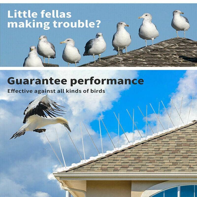 Anti Bird Spikes Pigeon Deterrent, Stainless Steel - Pack of 20 Groups - view 4