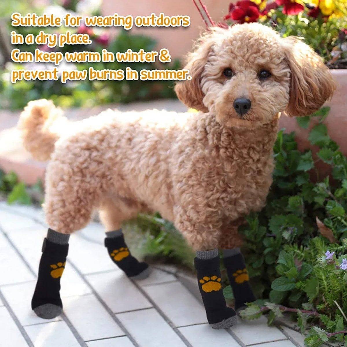 Anti-Slip Dog Socks Set of 4 - Red and Black Check, Large (7 cm Palm Width) - view 5