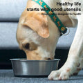 Anti Slip Stainless Steel Pet Food Bowl with Silicone Base - XL, 24 cm Top Diameter - view 5