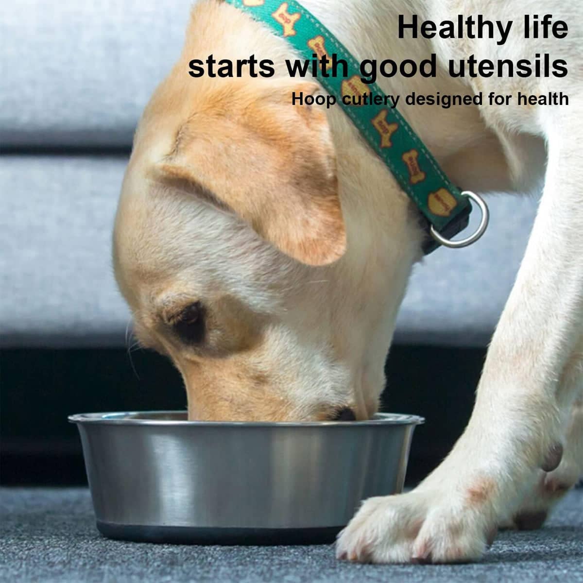 Anti Slip Stainless Steel Pet Food Bowl with Silicone Base - XL, 24 cm Top Diameter - view 5