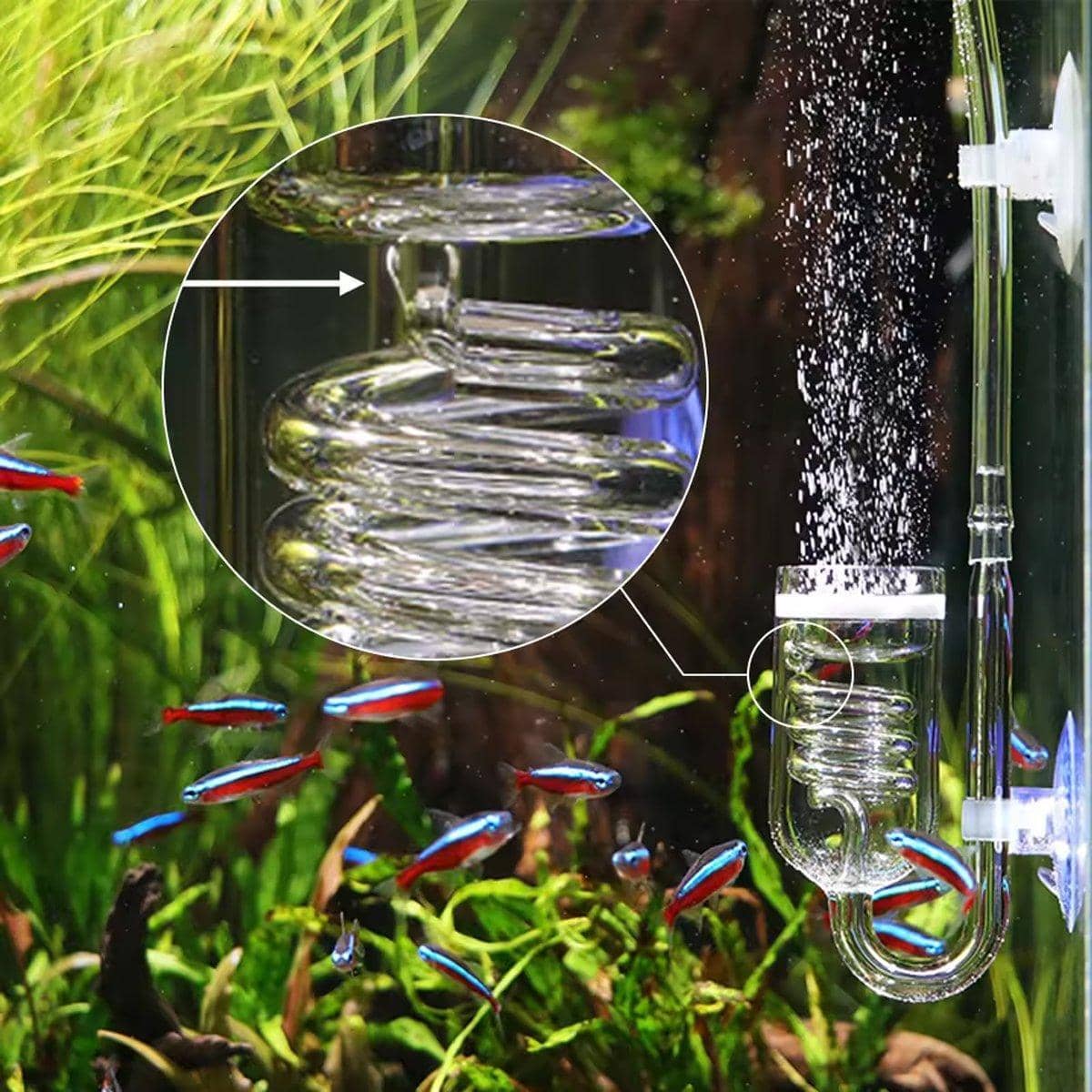 Aquarium CO2 Diffuser, Glass Spiral Atomiser for Planted Tanks - view 5