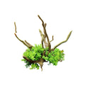 Aquarium Decoration Set with Artificial Wood and Plants - CM2502-Green