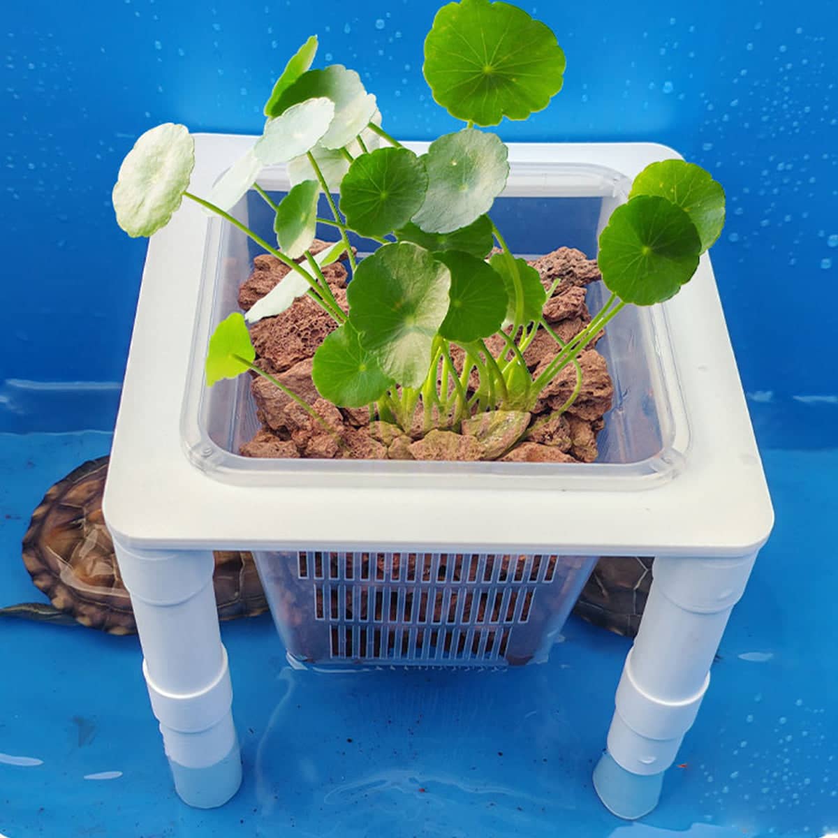 Aquarium Hydroponic Plant Basket with Adjustable Legs - Large (15 x 15 x 14.2 cm) - view 5
