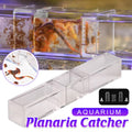 Aquarium Planaria Worm Catcher Trap for Fish Tanks, Transparent, 17.5 x 3 x 3 cm