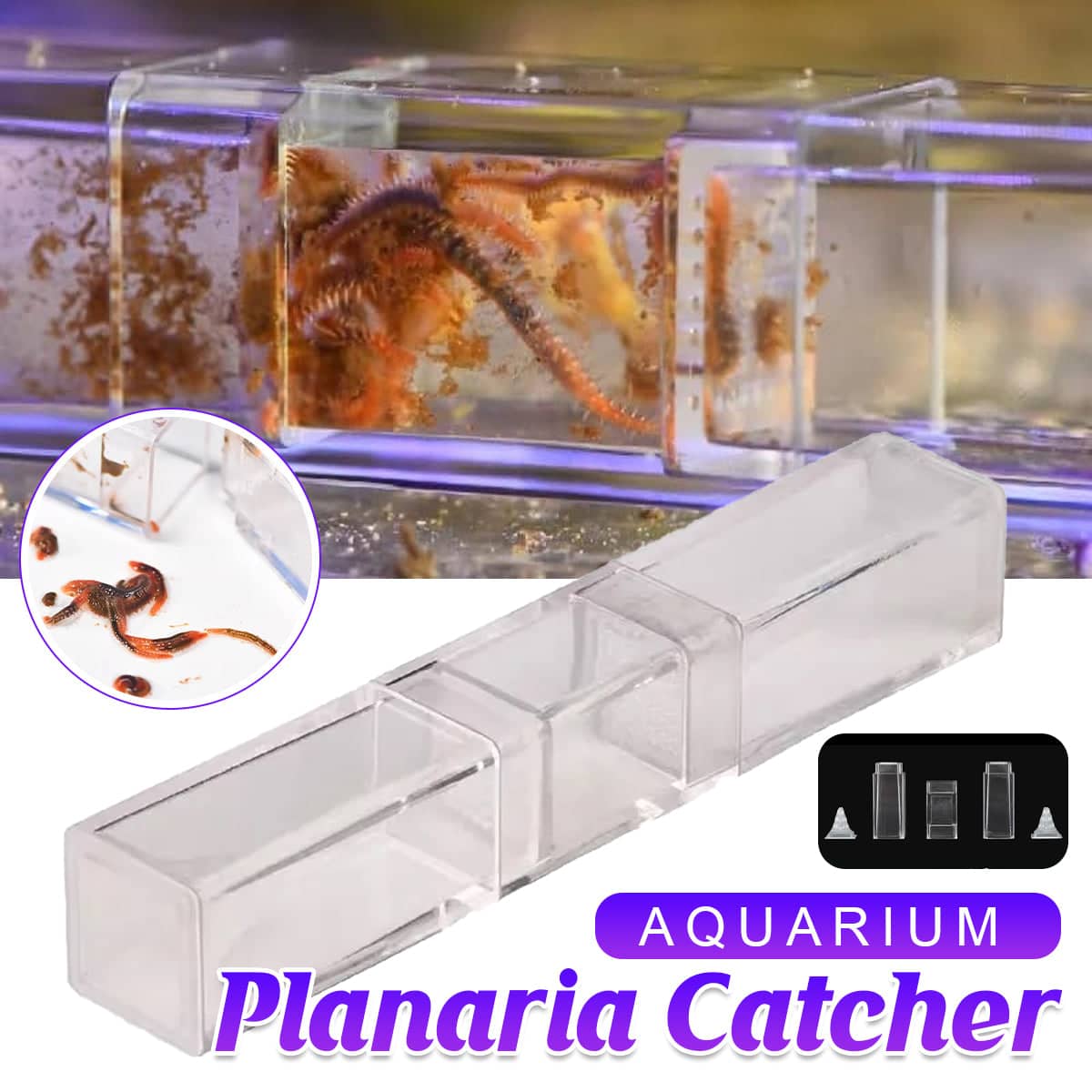 Aquarium Planaria Worm Catcher Trap for Fish Tanks, Transparent, 17.5 x 3 x 3 cm