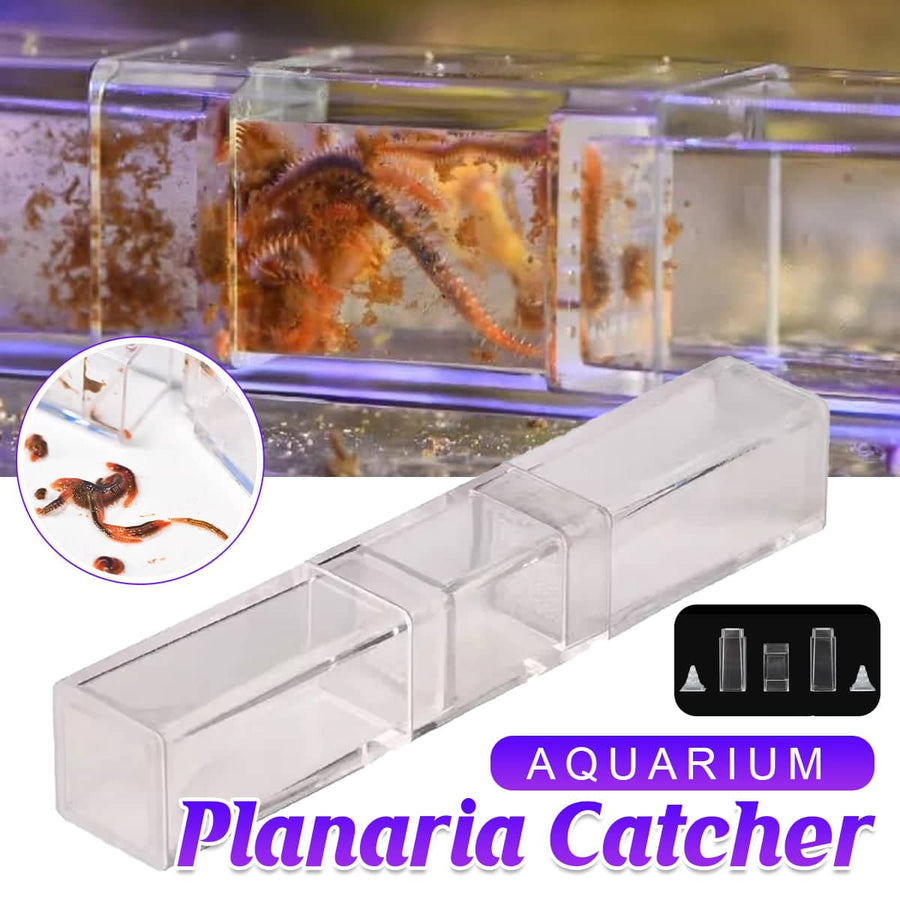 Aquarium Planaria Worm Catcher Trap for Fish Tanks, Transparent, 17.5 x 3 x 3 cm