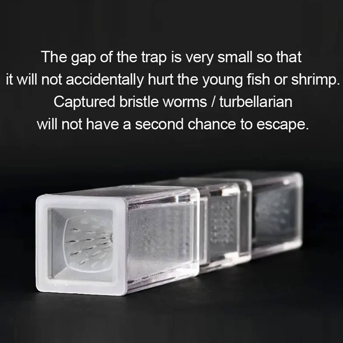 Aquarium Planaria Worm Catcher Trap for Fish Tanks, Transparent, 17.5 x 3 x 3 cm - view 5