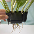 Aquarium Plant Holder Shelf for Fish Tank Edge, Black, 8.7 x 8.8 x 5.9 cm - view 4