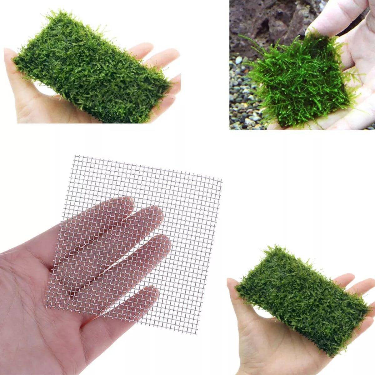 Aquarium Plant Mesh Pads in Stainless Steel - 8 x 8 cm, Pack of 10 - view 5