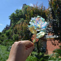 Artificial Crystal Rose Flowers with Gold Stems, 25 cm - Pack of 5 - view 5