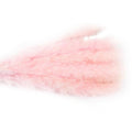 Artificial Dried Pampas Grass Flowers Bunch for Wedding Home Decor - Pink, Pack of 15