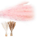 Artificial Dried Pampas Grass Flowers Bunch for Wedding Home Decor - Pink, Pack of 15 - view 3