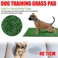 Artificial Grass Pee Pad for Dog Potty Training, Indoor Lawn Pad