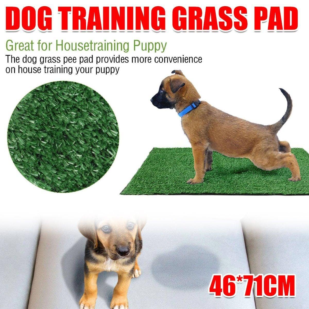 Artificial Grass Pee Pad for Dog Potty Training, Indoor Lawn Pad
