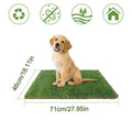 Artificial Grass Pee Pad for Dog Potty Training, Indoor Lawn Pad - view 3