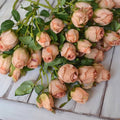 Artificial Rose Stems, 3 Pack, 7 Heads - 50cm, Multicolour - view 5
