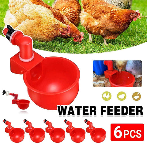 Automatic Chicken Water Cups - Pack of 6, Red