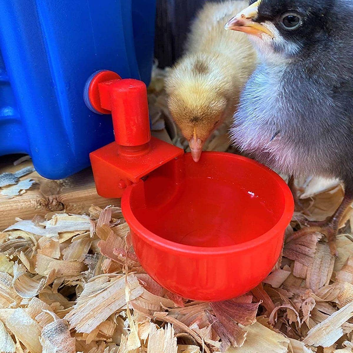 Automatic Chicken Water Cups - Pack of 6, Red - view 4