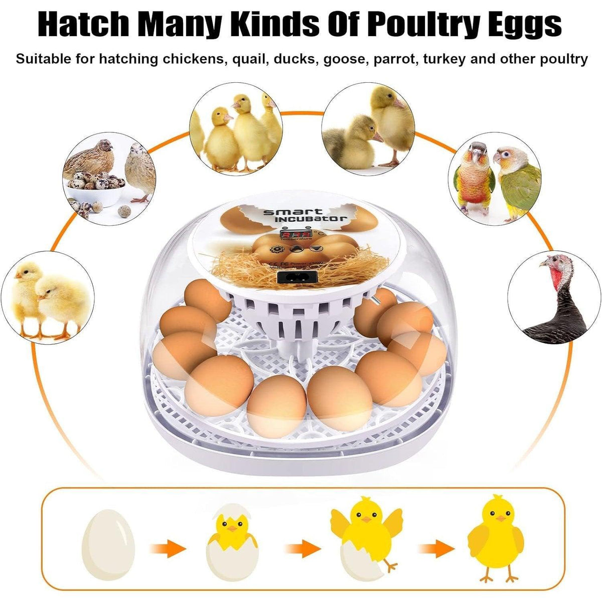 Automatic Small Egg Incubator, 12 Egg Capacity for Chicken and Pigeon Eggs - view 14