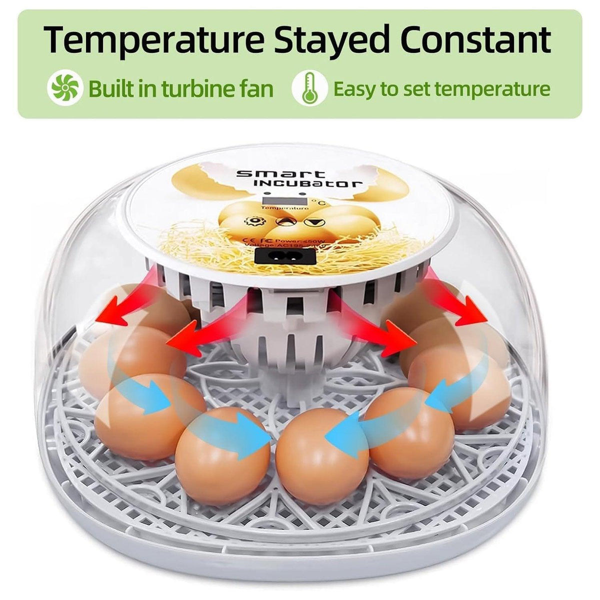 Automatic Small Egg Incubator, 12 Egg Capacity for Chicken and Pigeon Eggs - view 4