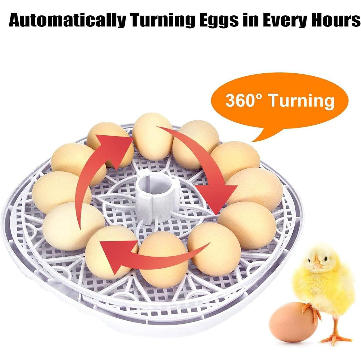 Automatic Small Egg Incubator, 12 Egg Capacity for Chicken and Pigeon Eggs - view 5