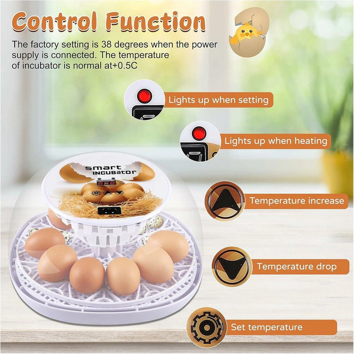 Automatic Small Egg Incubator, 12 Egg Capacity for Chicken and Pigeon Eggs - view 7