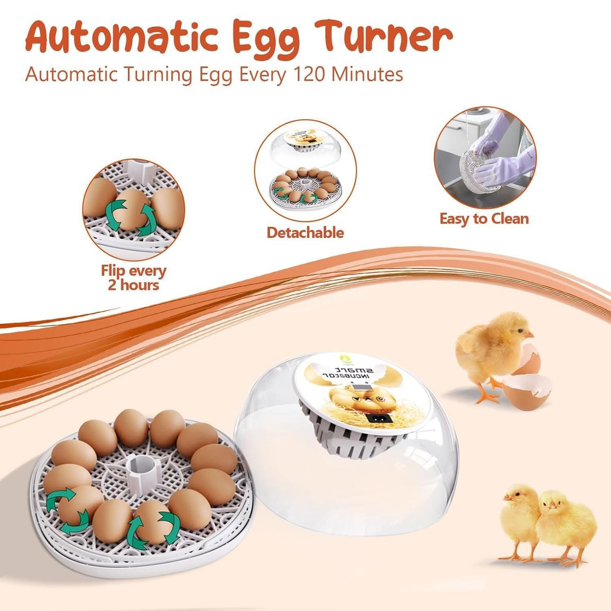 Automatic Small Egg Incubator, 12 Egg Capacity for Chicken and Pigeon Eggs - view 9