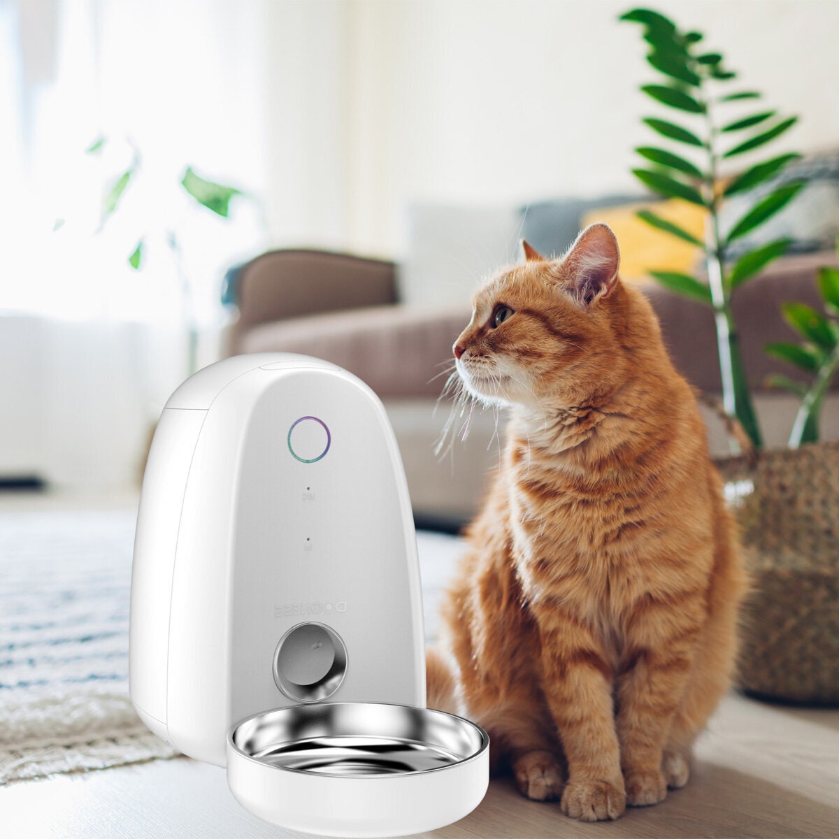 Dogness smart compact auto pet feeder - 2L hopper, app scheduling, 5 to 75g portions, Wi-Fi - 10426