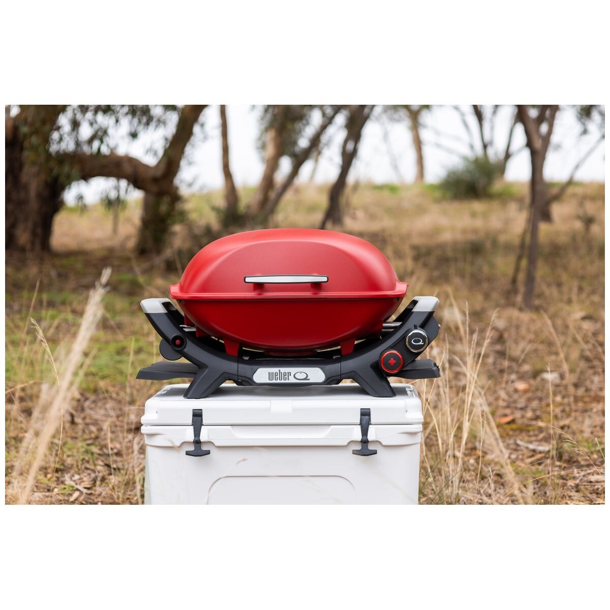 Weber Q2600N+ Portable LPG BBQ - 2 Burners, High Domed Lid, Red Finish - 3400046