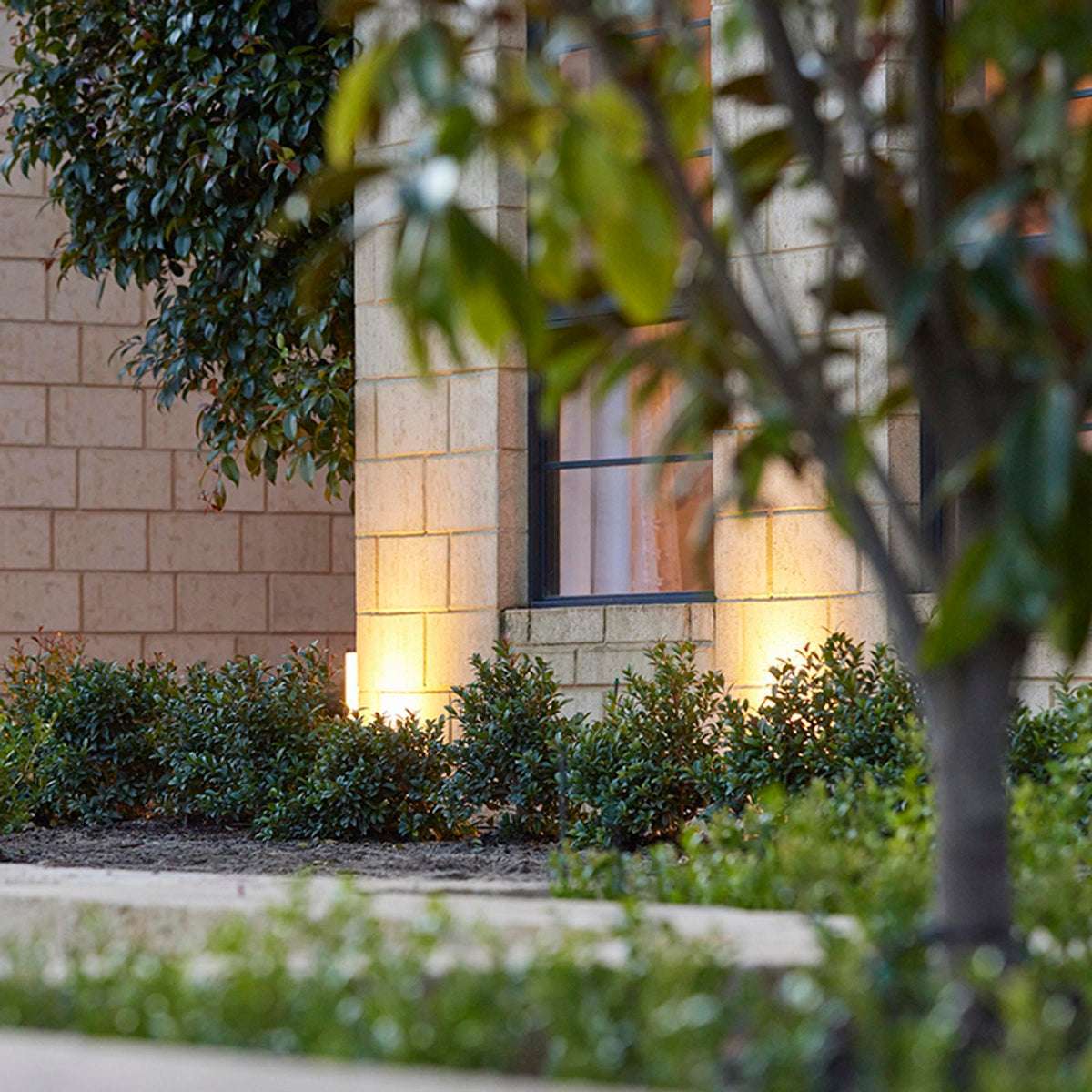 Elluminate 2W 12V Bluetooth Garden Spotlight Kit 4 Pack Dusk to Dawn