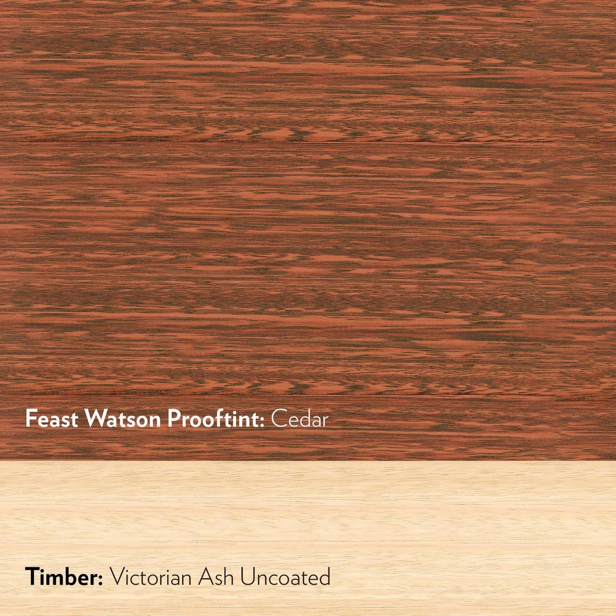 Feast Watson Cedar Prooftint 50ml Oil Based Interior Stain - Deep Colour - SuperSaverAU - view 2