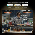 Philips Hue A67 E27 LED Smart Globe 15W 1600lm - Dimmable - Indoor Use - SuperSaverAU - view 4